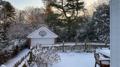 Winter gardening checklist – 13 ways to get your garden through the coldest months