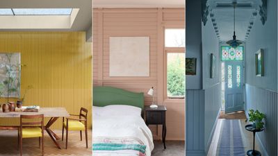 How do you choose a cohesive color scheme? A designer shares these rules which makes it so simple