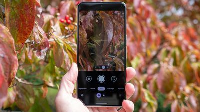 How to use Best Take on the Pixel 8