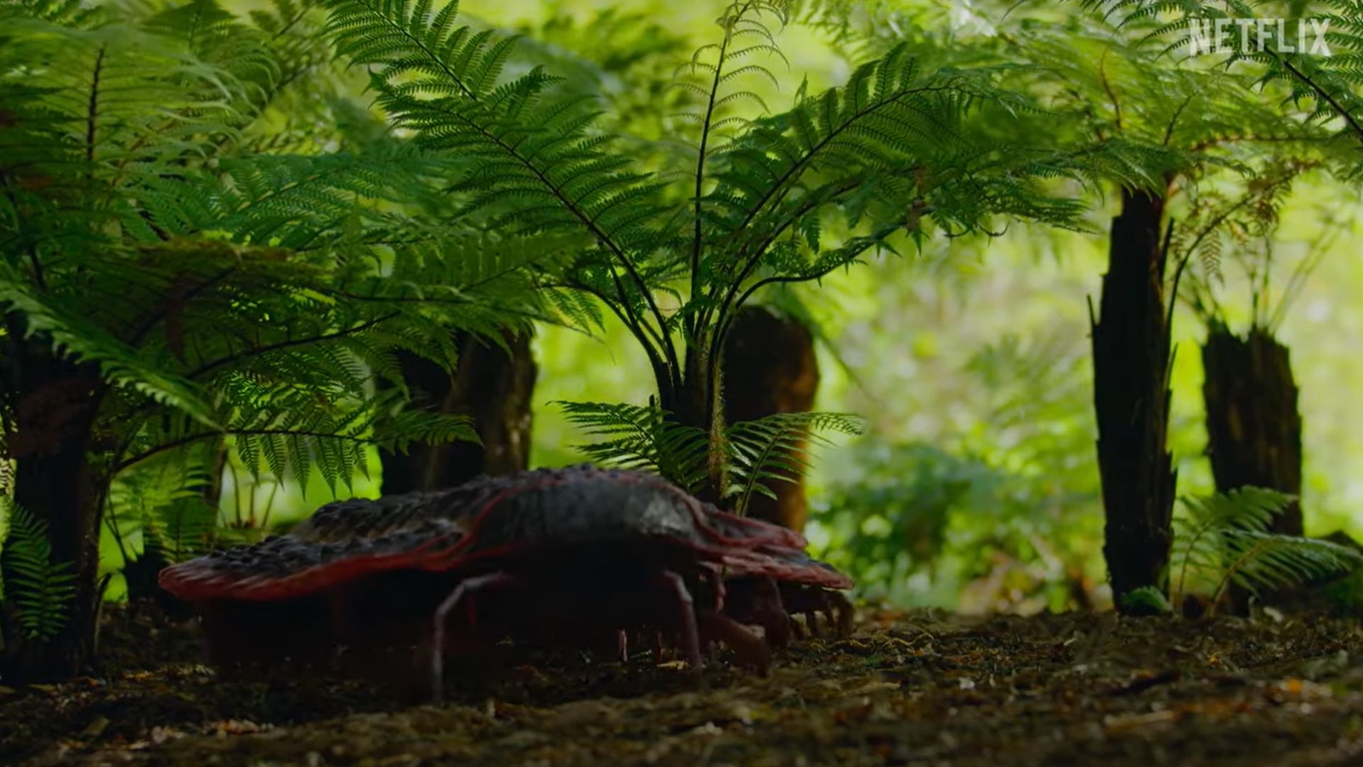 watch-ancient-giant-millipede-the-size-of-a-car