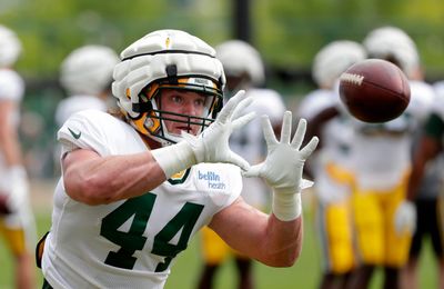 Packers elevate RB James Robinson, FB Henry Pearson from practice squad for Week 13 vs. Chiefs