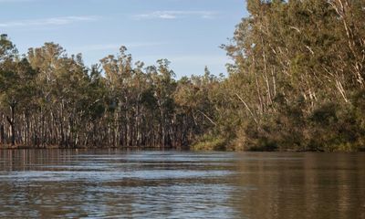 Murray-Darling Basin plan: what Labor’s new ‘breakthrough’ laws mean for the environment and communities