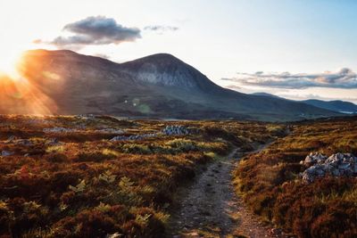 Report aims to plug 'vital' information gap for Scottish land reform policy
