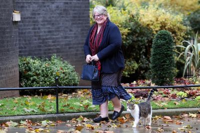 Therese Coffey says brain abscess caused by stress of minister job nearly killed her