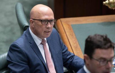 If Labor wants to break a high court losing streak, it must take the drafter’s pen off Peter Dutton