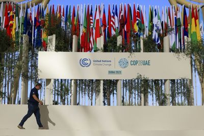Greenwashing or Genuine Action? Navigating Corporate Dilemmas at COP28