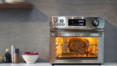 HYSapientia 15L Air Fryer Oven review − great with meat, but missed the mark with carbs and veg