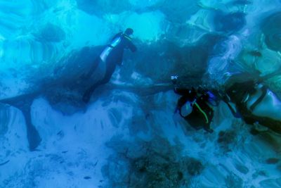 Volunteer Divers Guard Oman's 'Unique' Coral Reefs