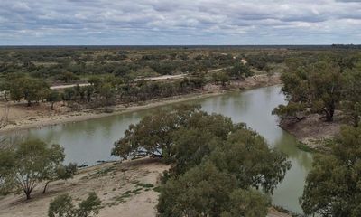 ‘Bracing for another fish kill’: locals sound the alarm as water quality drops at Menindee