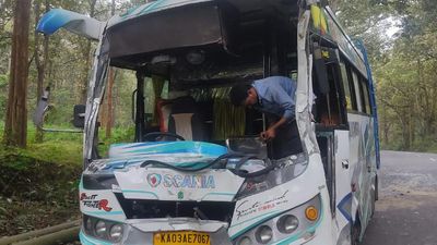 Wild elephant injured after being hit by bus inside Wayanad Wildlife Sanctuary in Kerala