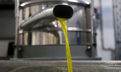 Police in Spain and Italy seize 5,000 litres of adulterated olive oil in raids