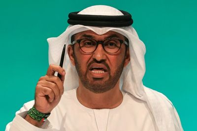 COP28's UAE Chair Says 'We Respect' Climate Science