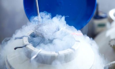 From hormone injections at a K-pop concert to a ‘spread of endo’, freezing my eggs has been a journey