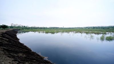Arsenic found in groundwater in 25 states, fluoride in 27 states: Govt