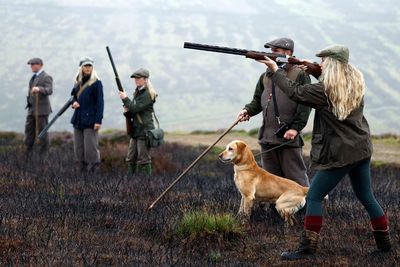 Scottish Government urged to end 'cruel' animal killings for grouse moors