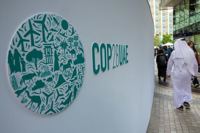 'Unintended Consequences': Friction At COP28 Over Green Trade