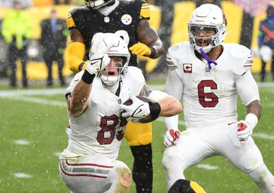 Cardinals’ Week 13 offensive snap counts, observations vs. Steelers