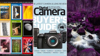 Your Digital Camera 276 download