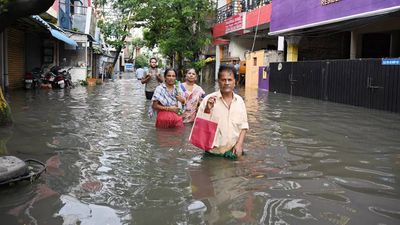 'Let’s come together to support where we can': David Warner voices concern for Chennai floods