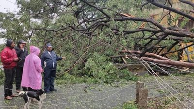Special teams deputed to undertake power restoration works in cyclone-affected areas