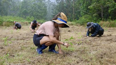 Nature repair bill passes after Greens agree to deal