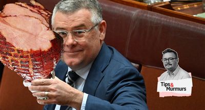 Labor’s frozen ham, Lehrmann lawyer’s weird tweets, and the AFR spits in our faces again