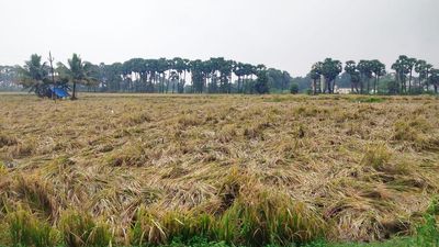 Heavy rain lashes Vizianagaram district