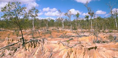 Can the government's new market mechanism help save nature? Yes – if we get the devil out of the detail