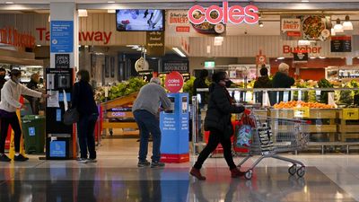 Coles and Woolies to front supermarket prices inquiry