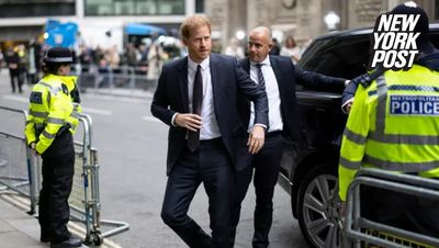 Prince Harry's claim that his police protection 'unfairly' changed dismissed by Home Office minister