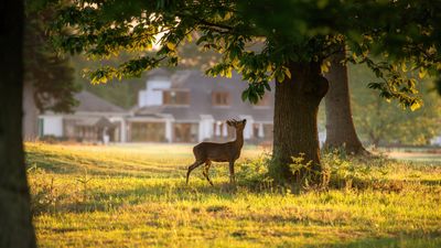 How Can Golf Be More Sustainable?