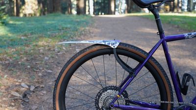 The best $27 bike accessory you can buy: a review of Ass Savers Win Wing 2 fender