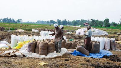 Paddy farmers upset over delay in disbursal of procurement price