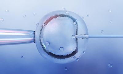 Call to help UK IVF patients donate unused embryos after shortage hinders research
