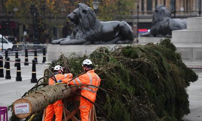 Trafalgar Square Christmas tree must cut its carbon footprint, says Oslo mayor