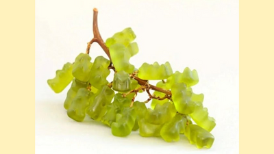 Personality Test: What you see reveals if you're disciplined and punctual or love freedom and adventure