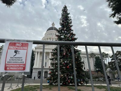 Gaza protests prompt California governor to hold virtual Christmas tree-lighting ceremony