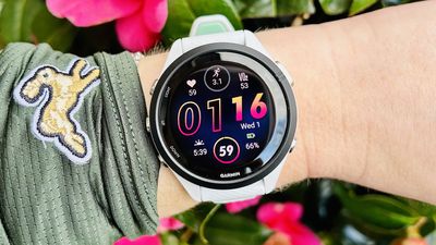 Garmin just rolled out a big update to its most popular watches — here’s all the new features