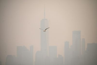 UK Ministers Accused of Misleading Public Amidst Scrapped Air Quality Regulations Controversy