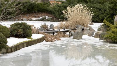 How to heat a pond in winter – 5 ways to prevent it from freezing over