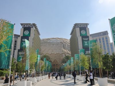 A record number of fossil fuel representatives are at this year's COP28 climate talks