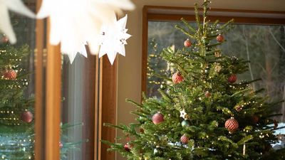 7 ways to cut clutter when decorating this Christmas – professional organizers share their tips