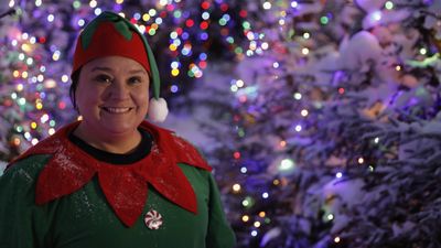 Christmas Cruising with Susan Calman 2023: release date, interview and everything we know