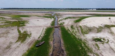 Unprecedented drought in the Amazon threatens to release huge stores of carbon – podcast