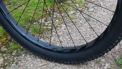 Reynolds Blacklabel 329 Trail Pro wheelset review – lively and capable trail wheels