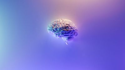 Electrical Brain Stimulation Boosts Cognitive Function In Alzheimer’s Patients