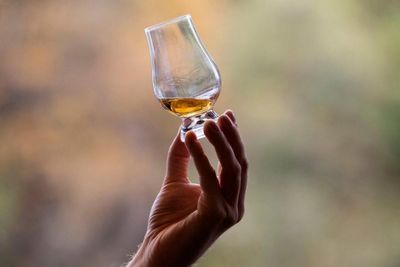 Scottish whisky industry set to celebrate bumper year