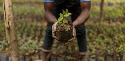 Billions have been raised to restore forests, with little success. Here's the missing ingredient