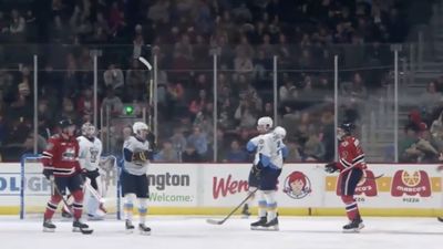 Chicken Nugget Incident Earns Pro Hockey Player a 10-Minute Penalty