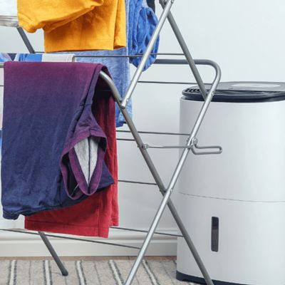What size dehumidifier do I need to dry clothes? Experts reveal the perfect size to dry your clothes in record time